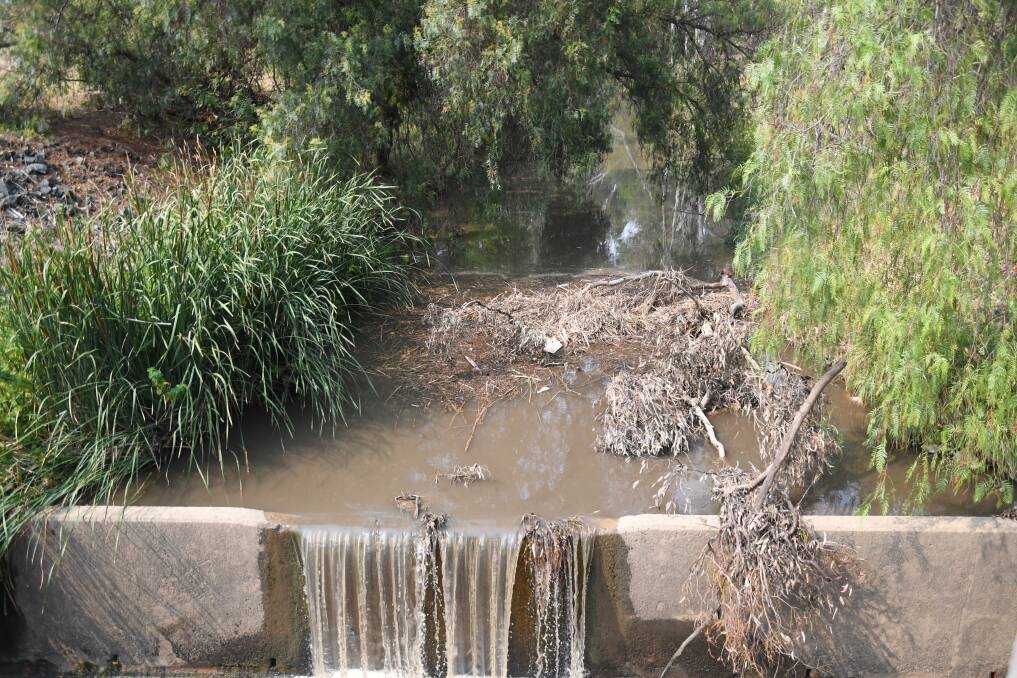 A section of the Bendigo Creek in Huntly. Picture: EMMA D'AGOSTINO