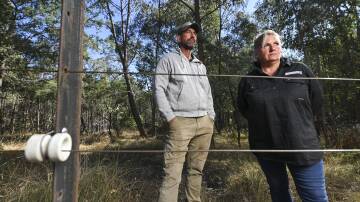 North East farmers Clinton Ried and Emma Nankervis say the buffer zone has made a difference when it comes to protecting livestock. Picture by Mark Jesser.