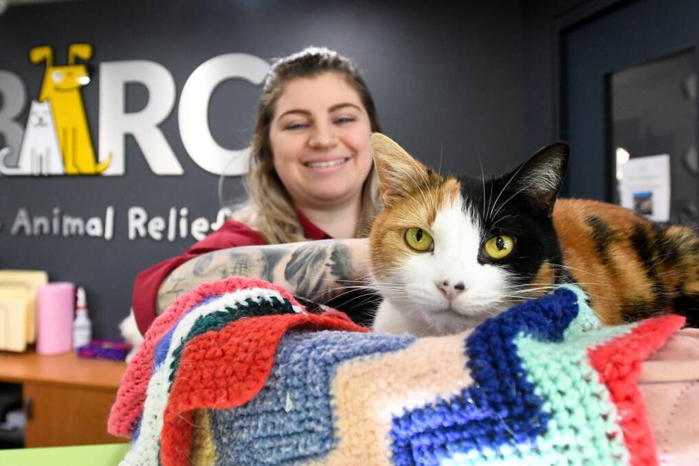 Kayla Harris and Maggie the shelter cat in 2020. Picture by Noni Hyett