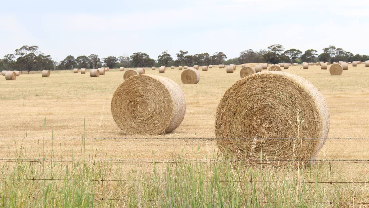 Hay exporter charged following fatal incident