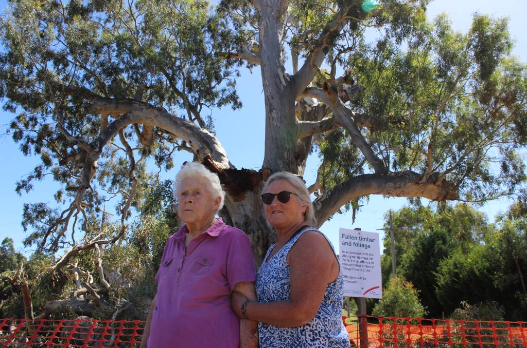 Melva and Katrina Passalaqua, who were in Guildford to see the damage to The Big Tree they used to live around the corner from. Picture by Jenny Denton