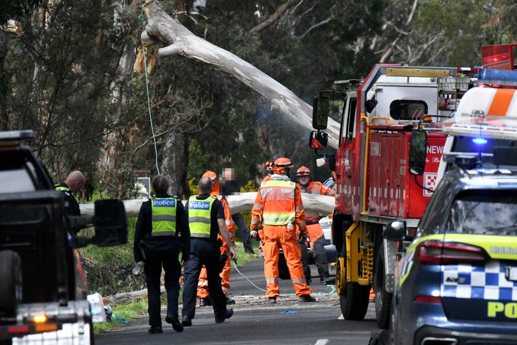 One woman has died after a tree fell on a car in Woodend. Picture by Noni Hyett