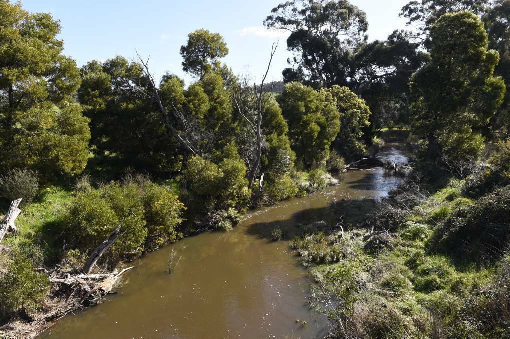 Larni Barramul Yaluk is in both the Hepburn and Mount Alexander Shires and connects to the Loddon River. File picture