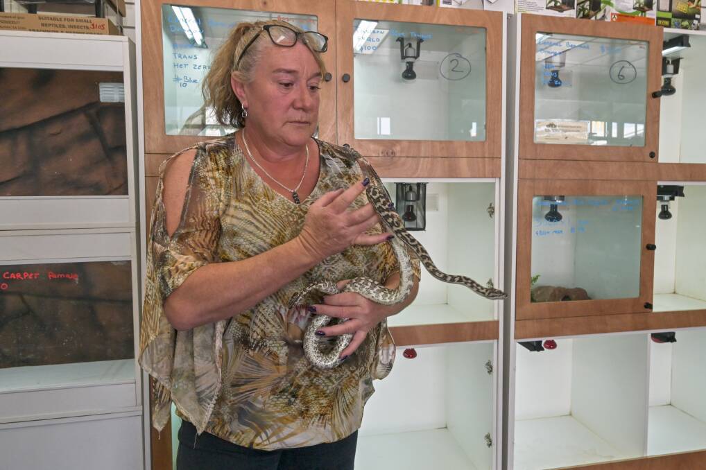 Totally Reptiles Vic Central owner Jodie Prideaux said about 50 reptiles were stolen, and some killed, in an early morning smash and grab. Picture by Enzo Tomasiello