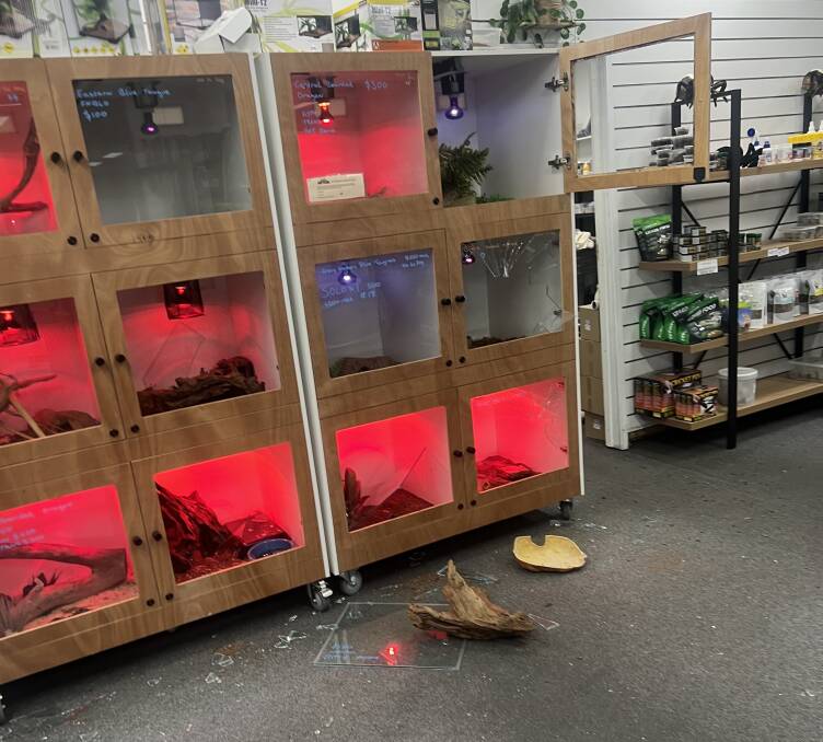 Reptiles were stolen out of their glass cabinets. Picture supplied
