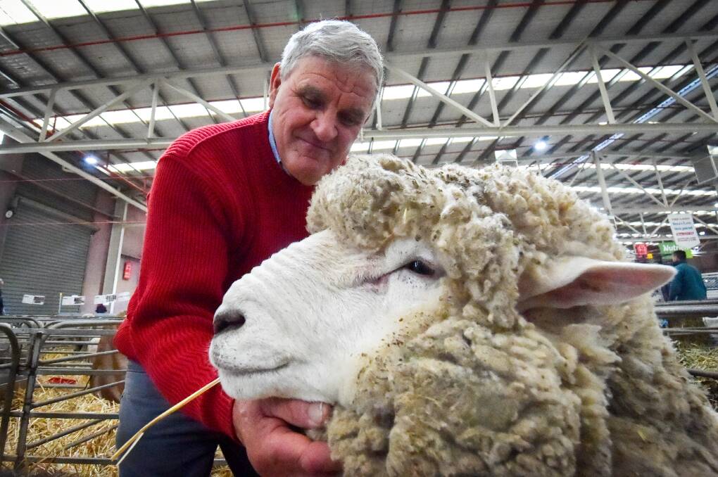 The Australian Sheep and Wool Show returns this month. Picture by Darren Howe