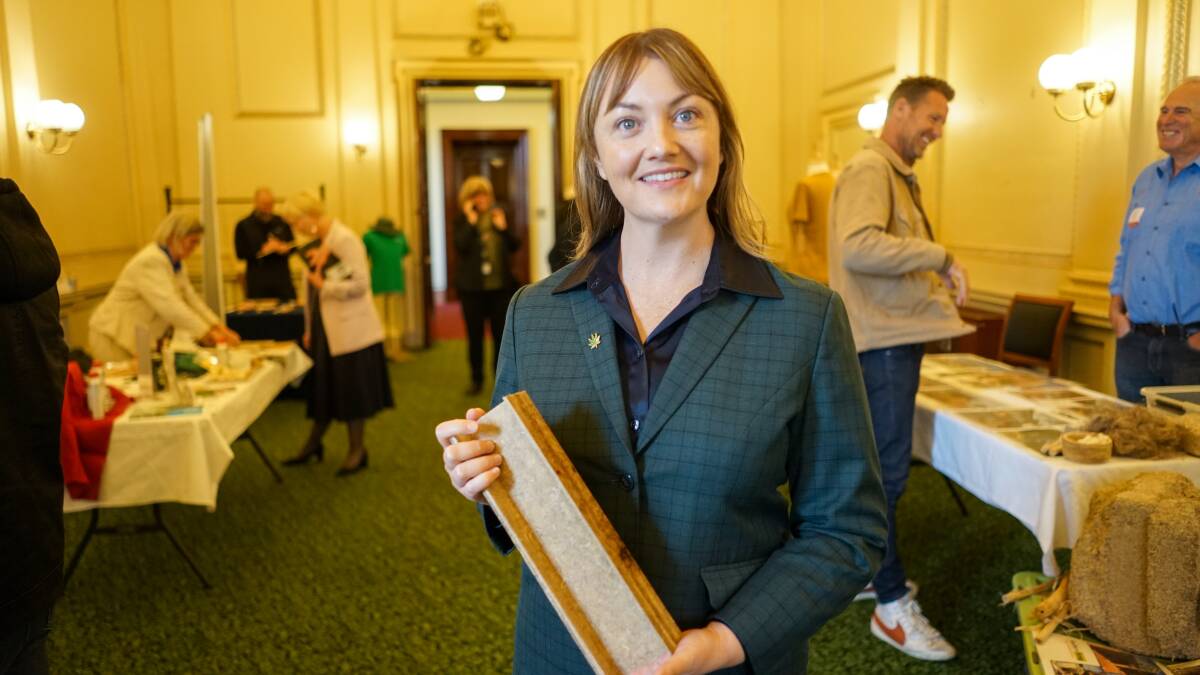 Legalise Cannabis Victoria MP Rachel Payne, with "green steel", housing material made with hemp. Picture by Rachel Simmonds