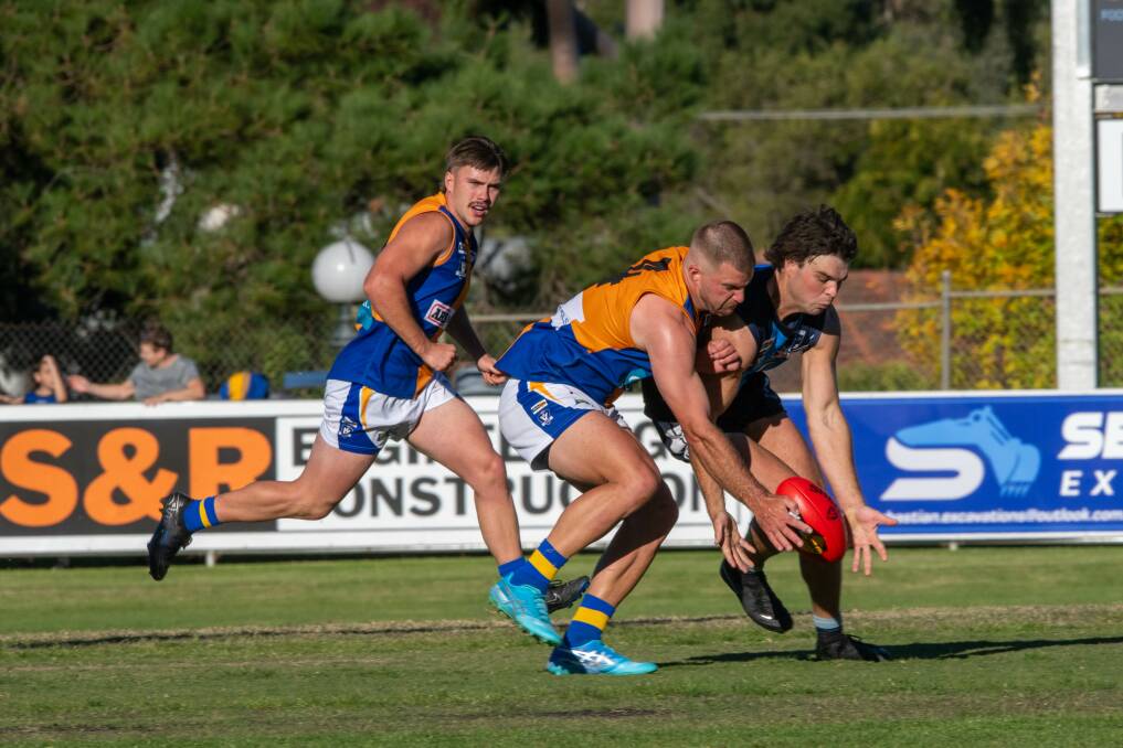 Rosengren and Eaglehawk's Ben Thompson reach for the footy in round one. Picture by Enzo Tomasiello