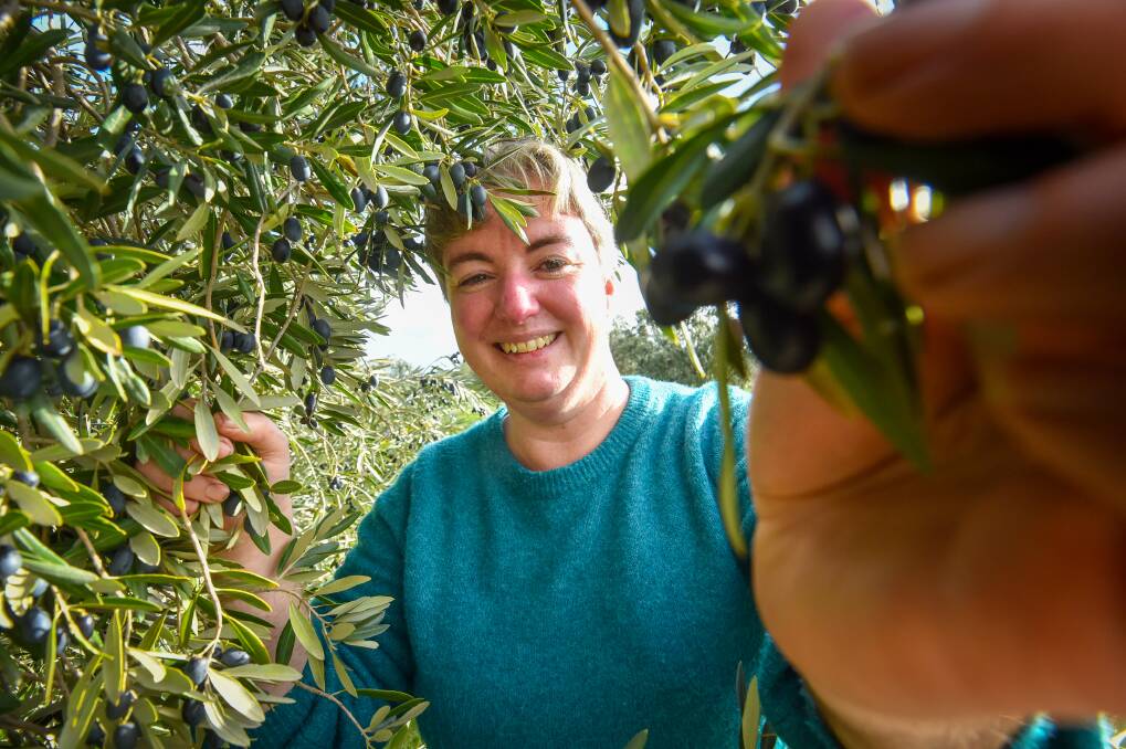 Ms Meo with some of the fruit ripe for the picking. Picture by Darren Howe