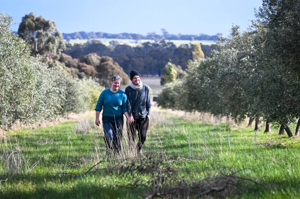Ceilidh and Charlie Meo are inviting guests to pick their own olives at Heathcote on Show. Picture by Darren Howe