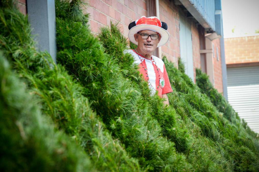 Ashley Perret among Y Service Club Christmas trees at Mundy Street in 2021. Picture by Darren Howe
