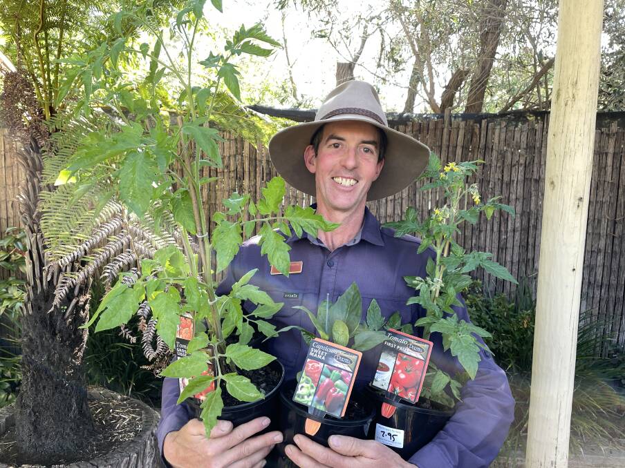 Macdonalds Nursery owner Lee Macdonald is excited to see what warmer weather will do to help plants this summer. Picture by Alex Gretgrix