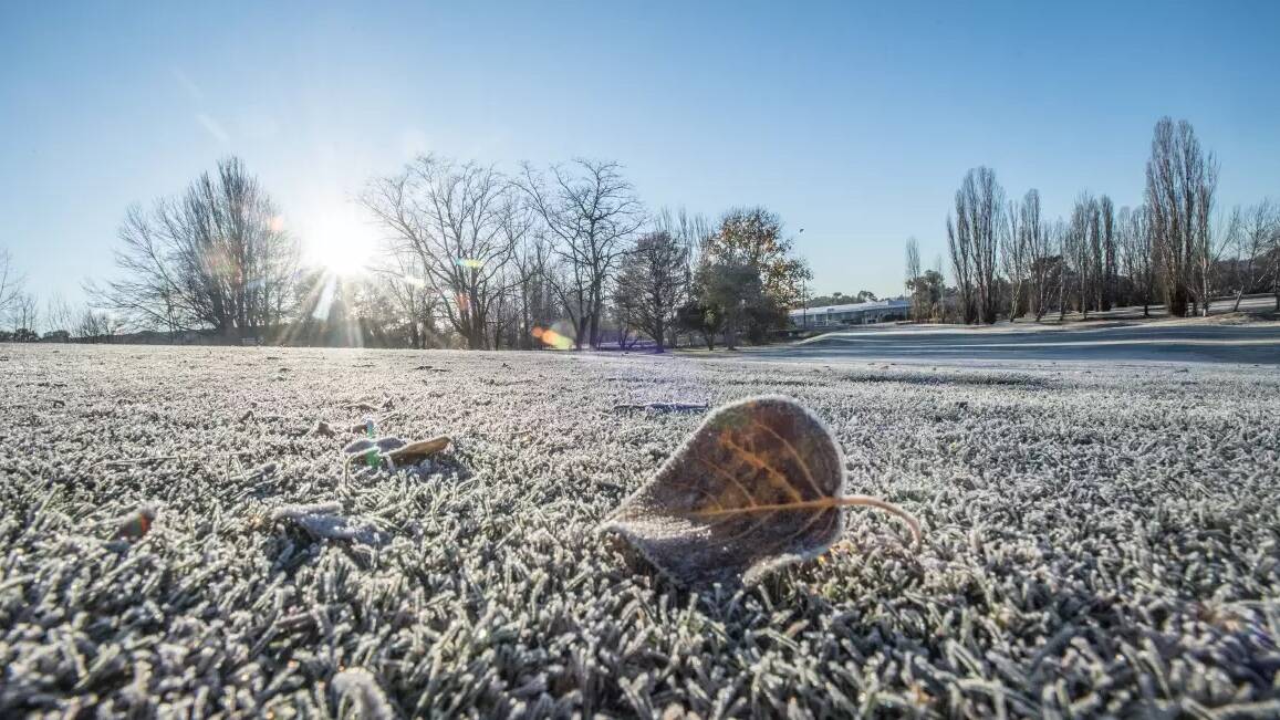 Canberra recorded one of its coldest mornings on June 19. Picture by Karleen Minney.