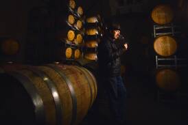 Balgownie Estate chief winemaker Tony Winspear. Picture by Darren Howe. 
