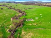 A big sheep grazing property at Baringhup is on the market with a suggested selling price of $4500 per acre. Pictures and video from Nutrien Harcourts.
