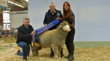 The top selling ram from Terrick West with stud advisor Chris Bowman and co-principals Ross and Claire McGauchie. Pictures by Brett Tindal 