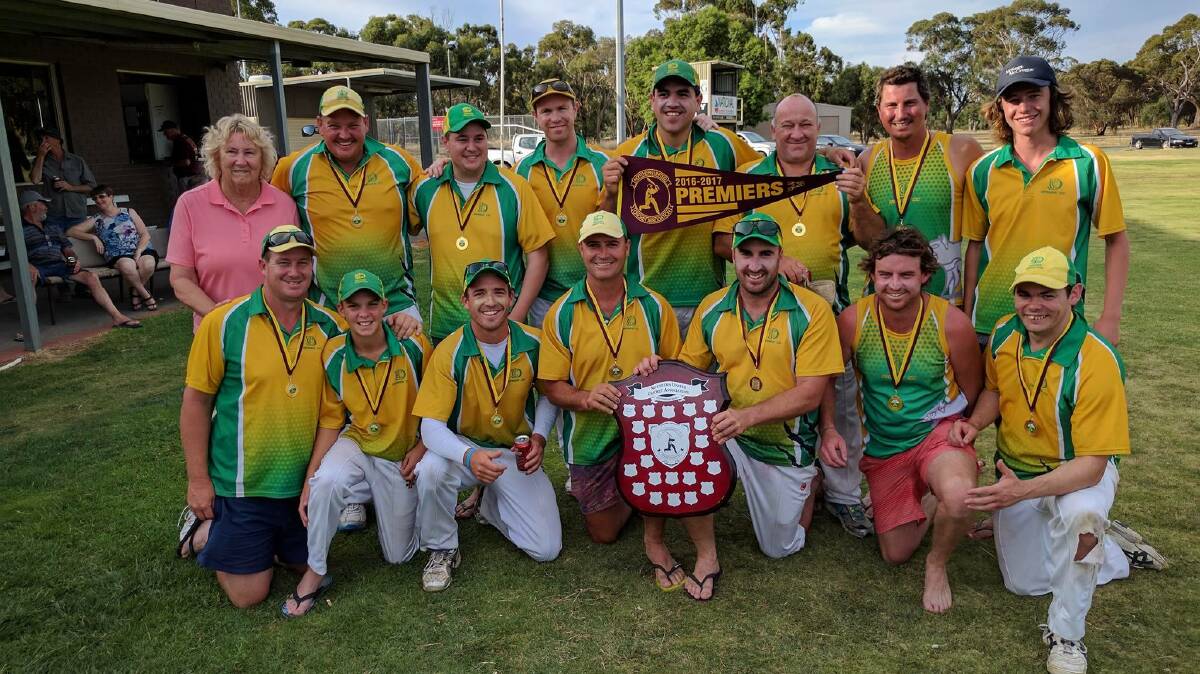 TWO ON THE TROT: Dingee's premiership team. The Blowies defeated Goornong by 40 runs in the grand final on Saturday. Picture: CONTRIBUTED