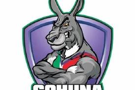 The Cohuna Kangas will hold a club vote on Tuesday, August 6, on a potential move to the HDFNL.