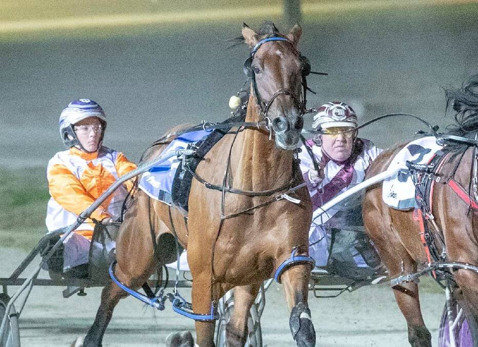 Rebecca Bartley and San Carlo stave off some late challenges to win the 2019 Group 2 Bendigo Pacing Cup at Lord's Raceway earlier this year. Picture: STUART McCORMICK