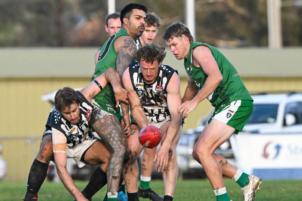 Castlemaine midfielder Kalan Huntly is poised to pounce on the ball against Kangaroo Flat on Saturday. Picture by Darren Howe