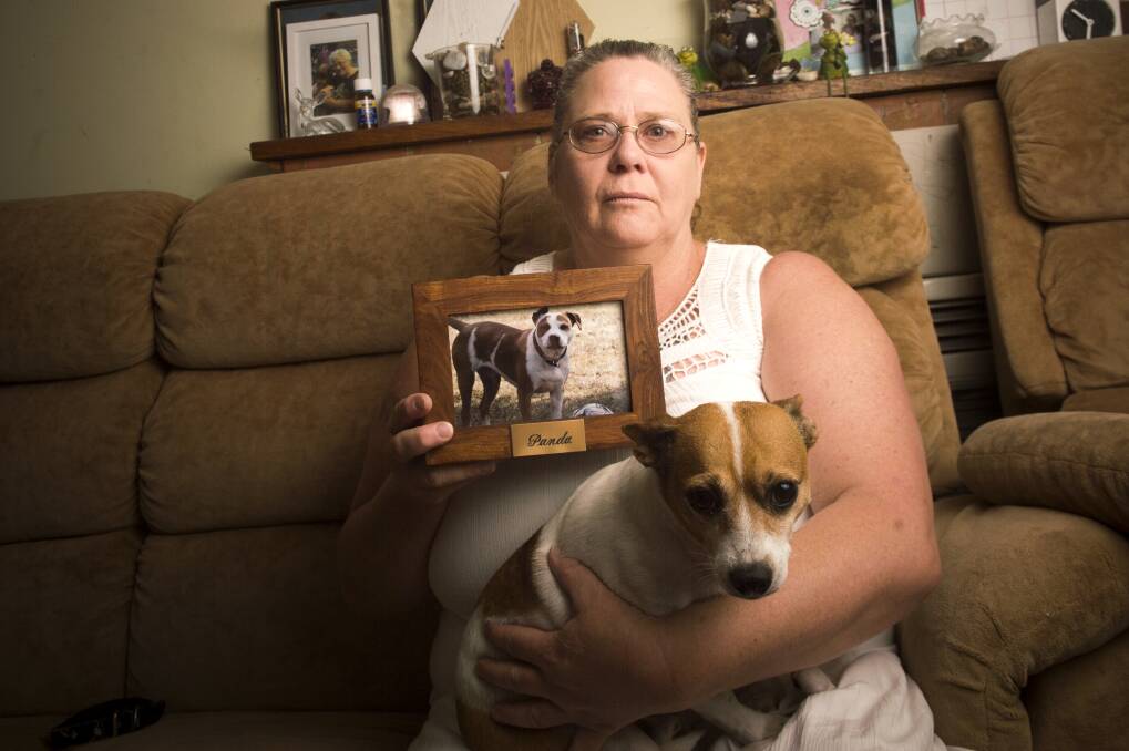 WARNING: Angela Wyatt with her mother's dog Mossie. Ms Wyatt's dog Panda died from parvovirus in December. Picture: DARREN HOWE