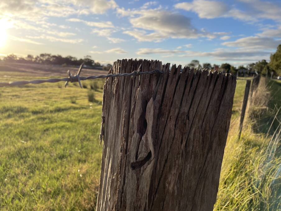 A generic image of a rural fenceline. Picture file