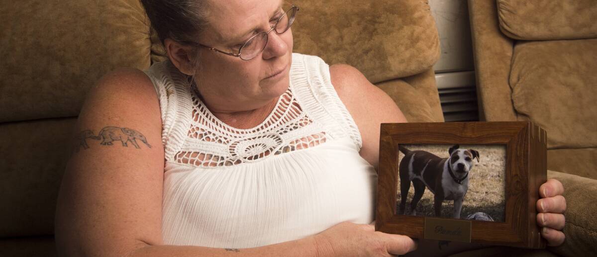 MEMORIES REMAIN: Angela Wyatt with a picture of her beloved dog Panda, who died less than a month ago. Picture: DARREN HOWE