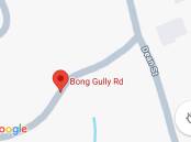 Google's 'Bong Gully Road': what might Long Gully track actually be called?