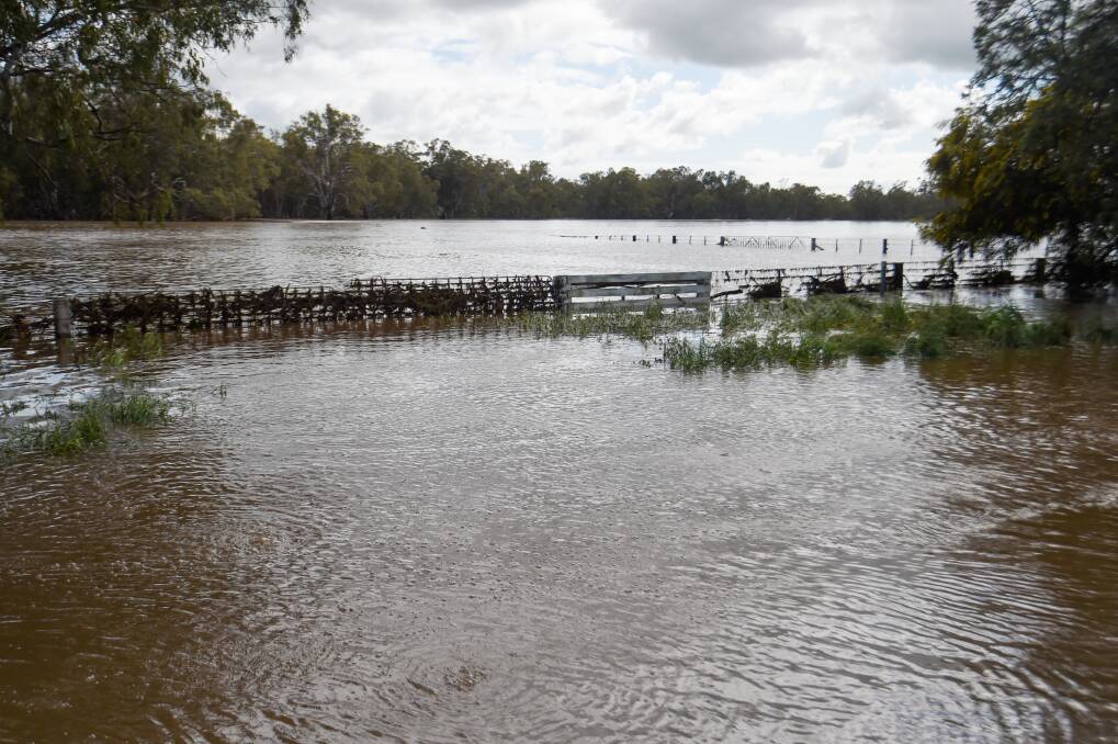 Water sits in paddocks near Rochester during the 2022 floods. Picture by Darren Howe