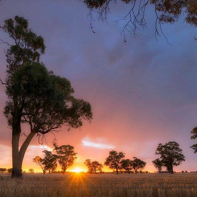 Today's Instagram #picoftheday is by @jed2121 - tag your weather pics #bendigoweather and we'll feature the best ones here.