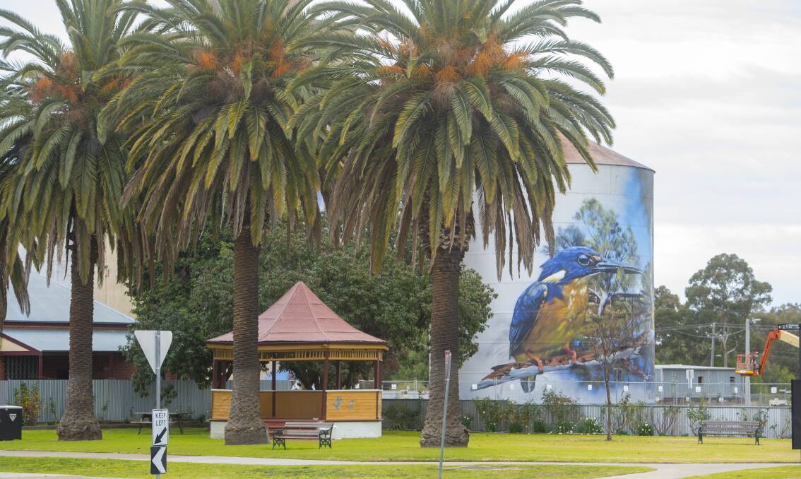 PLAN: Rochester Recreation Reserve Committee of Management hopes to tap into the potential in the town's silo art and reputation for murals.
