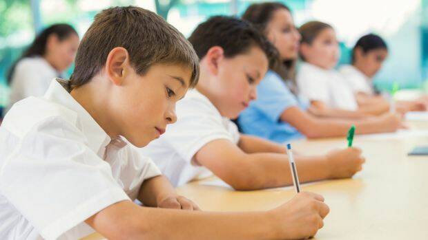 The proportion of students meeting national minimum standards in each domain in this year's NAPLAN tests has flatlined or declined across most year groups since last year. Photo: Supplied