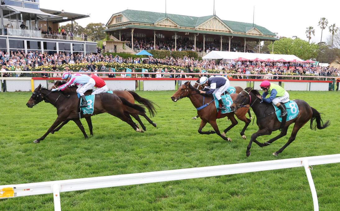 Wertheimer (pink cap on the rails) grinds away for fourth spot in last year's Group 3 Bendigo Cup, won by High Emocean (light blue cap). Picture by Racing Photos
