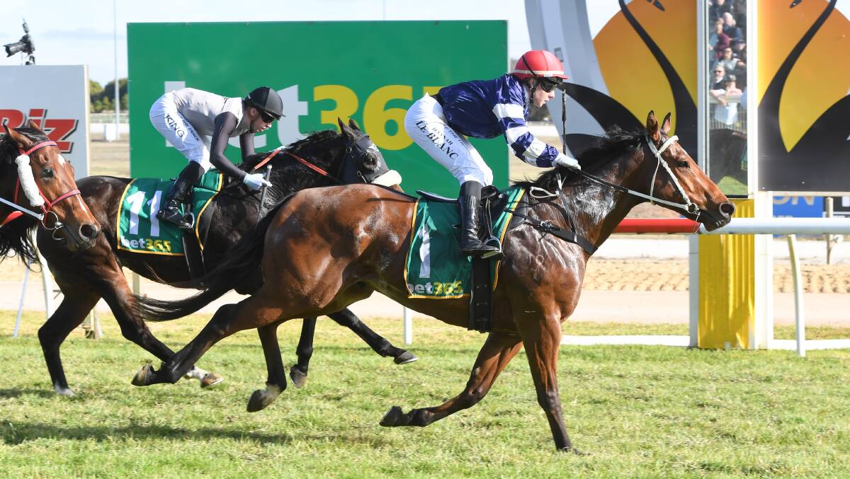 Da Nang Star, ridden by Hannah Le Blanc, wins the Vernon's Steel Handicap at Swan Hill on day two of the cup carnival on Saturday. Picture by Brett Holburt/Racing Photos
