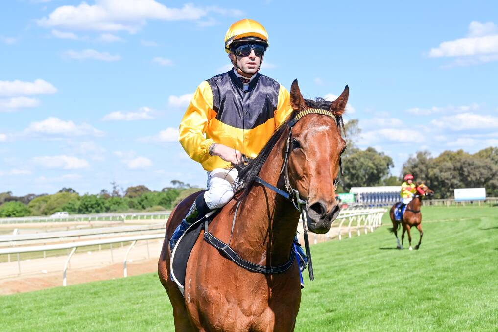 Makusha, ridden by Jake Noonan, returns to the mounting yard after winning at Echuca earlier this month. Noonan will again be aboard the four-year-old gelding on Bendigo Cup day. Picture by Brendan McCarthy/Racing Photos