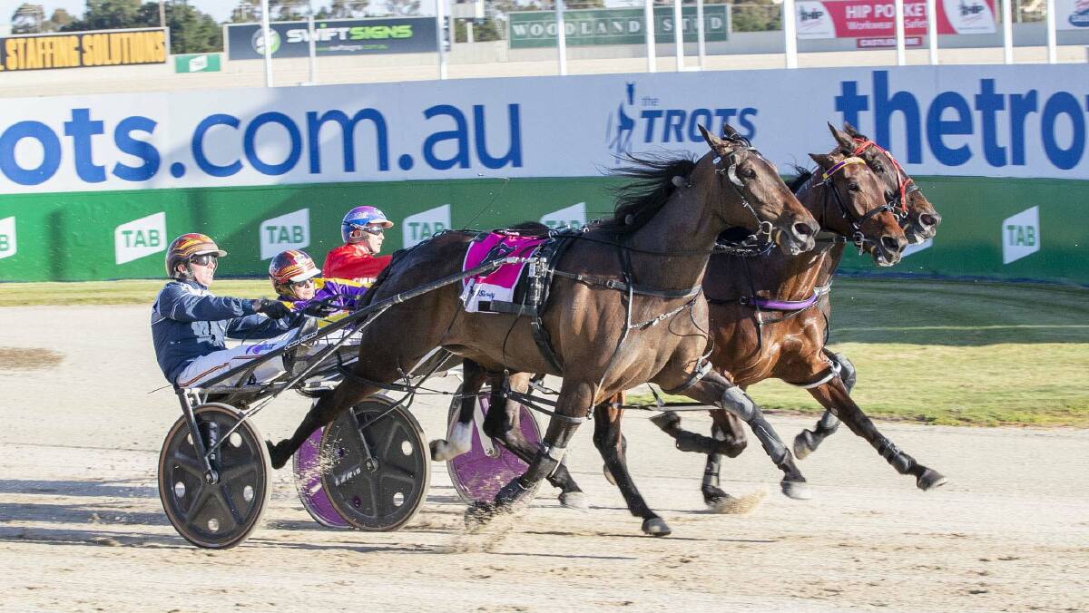Joyful, driven by James Herbertson on the outside, just gets the better of Ludacrous (middle), driven by Lisa Miles, on Saturday night at Melton. Picture by Stuart McCormick