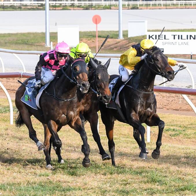 TIGHT TUSSLE: Bendigo mare Savannah Moon, far right, storms along the rails to win the Think Big Classic at Swan Hill on Sunday. Picture: GETTY IMAGES
