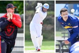 Points for Twenty20, two-day games and one-day matches could be combined into one ladder under a new BDCA proposal.