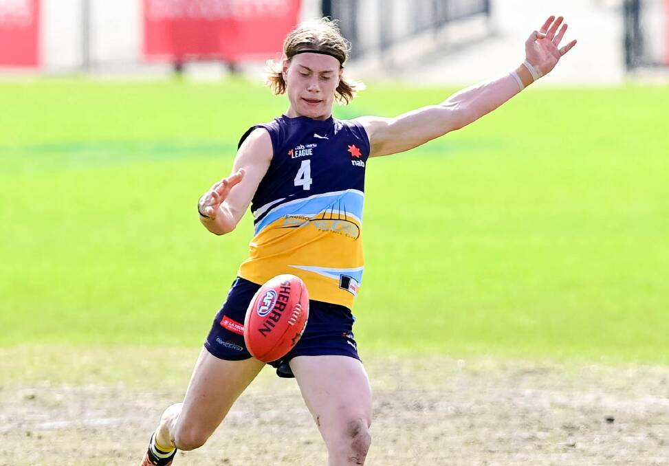 Harley Reid won't play for the Bendigo Pioneers over the next fortnight.