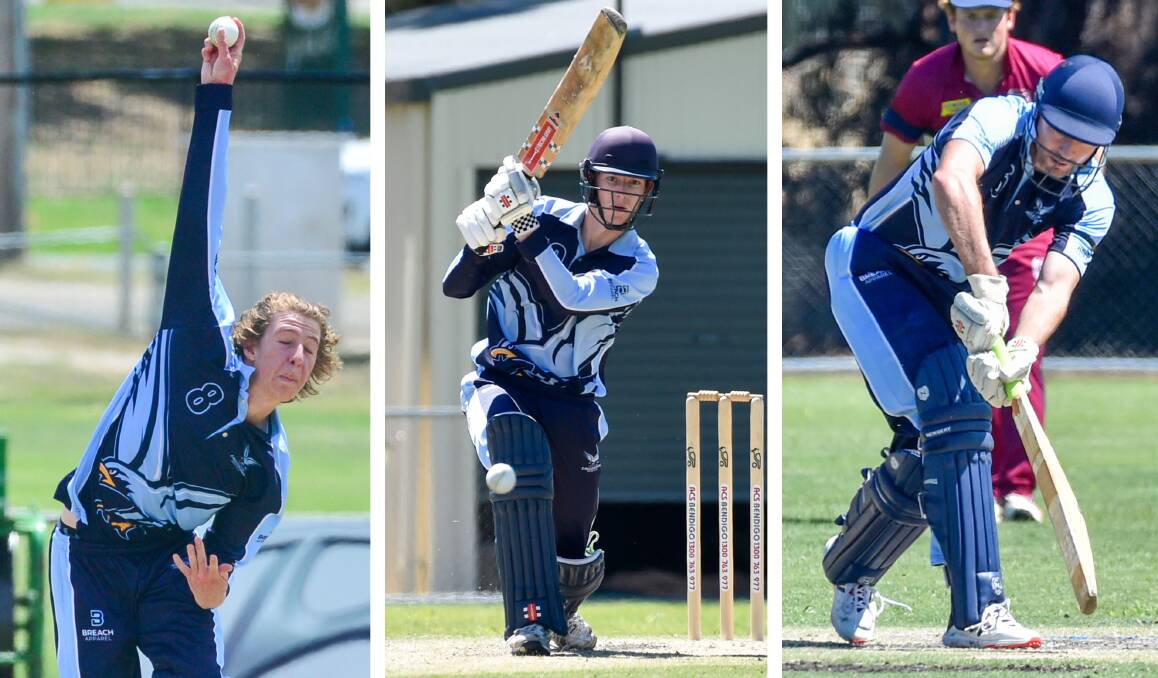 Angus Chisholm, Ben Williams and Jeremy Brown will play key roles for Eaglehawk this summer as the Hawks look to challenge for the BDCA premiership.