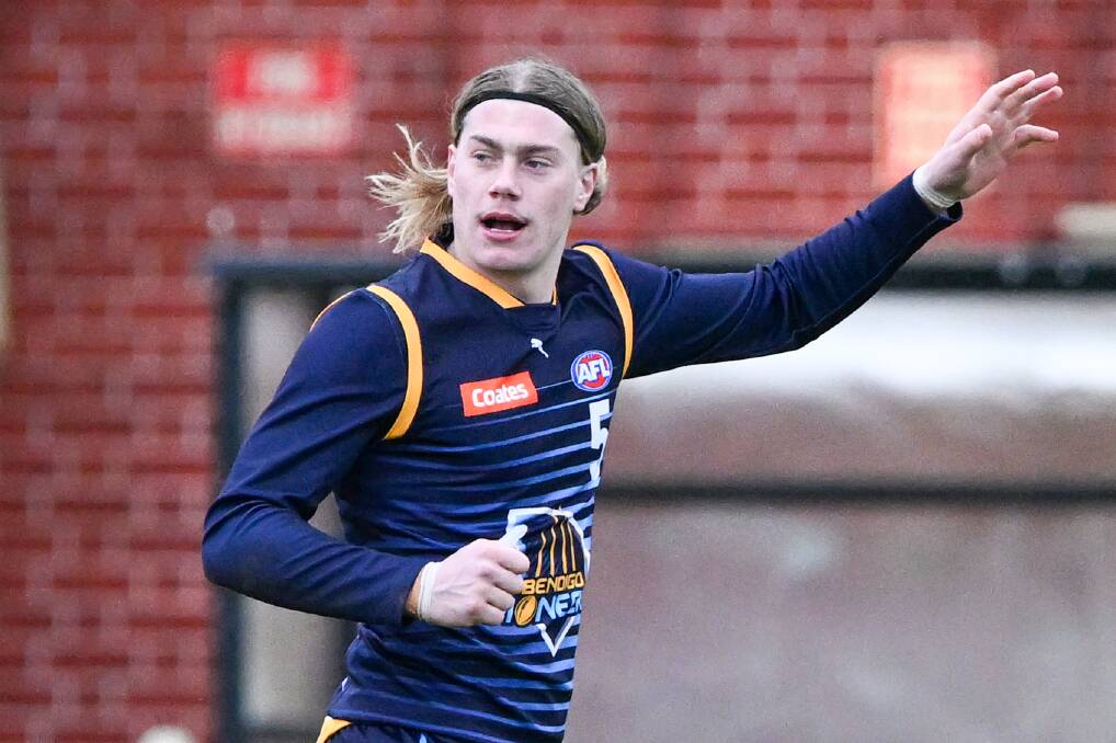 People inside the Bendigo Pioneers' camp rate Harley Reid the best prospect the club has produced since Dustin Martin. Picture by Darren Howe