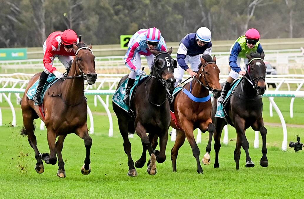 Wednesday's Bendigo Cup meeting has attracted quality fields across the program.