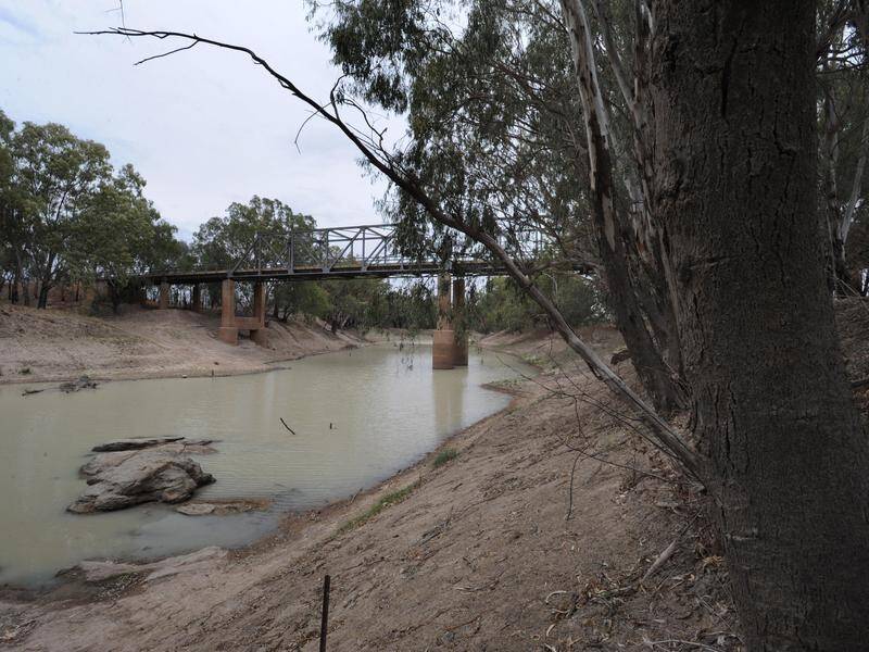 Hundreds of millions of dollars will go to the states to improve the health of the Murray-Darling. (Dean Lewins/AAP PHOTOS)