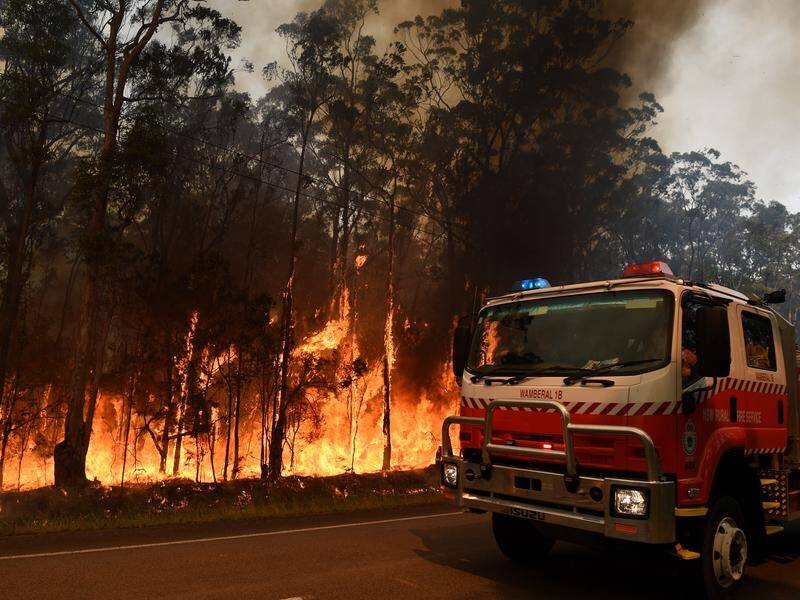 Australia's fire and emergency services have released a bushfire outlook for the spring season. (Dan Himbrechts/AAP PHOTOS)