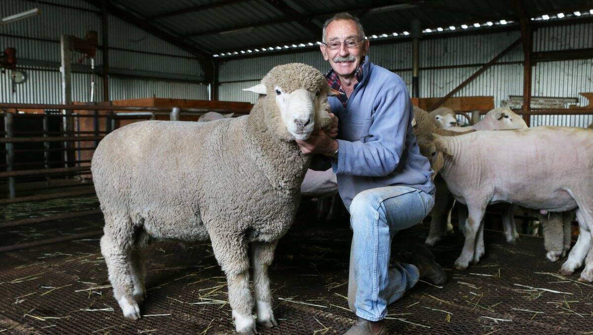 PHOTOS: New era for Baringhup sheep farm | Bendigo Advertiser | Bendigo ...